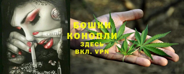 прущие крисы Гусь-Хрустальный