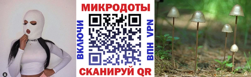 купить  сайты  Донецк  Галлюциногенные грибы Psilocybine cubensis 